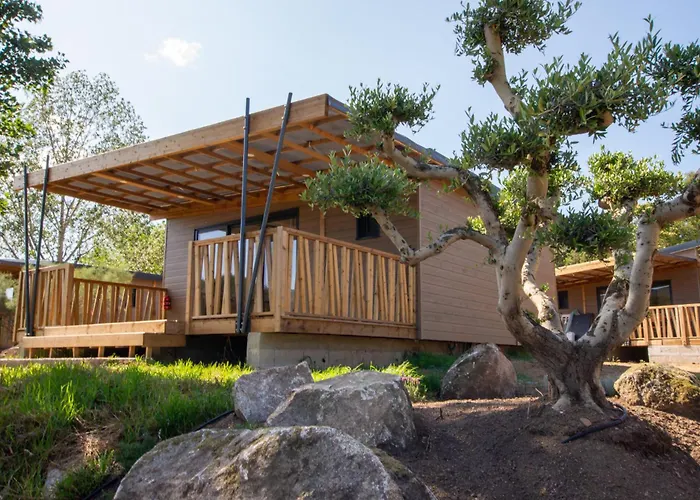 Camping U Pinarellu *