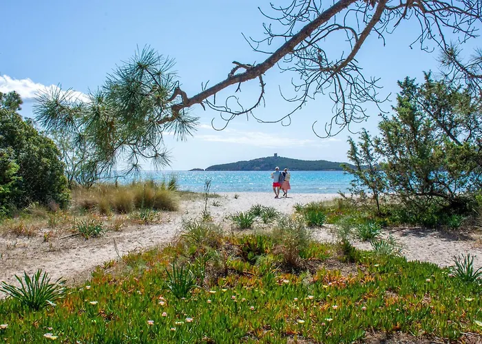 U Pinarellu Camping *