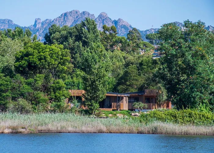 Camping U Pinarellu *