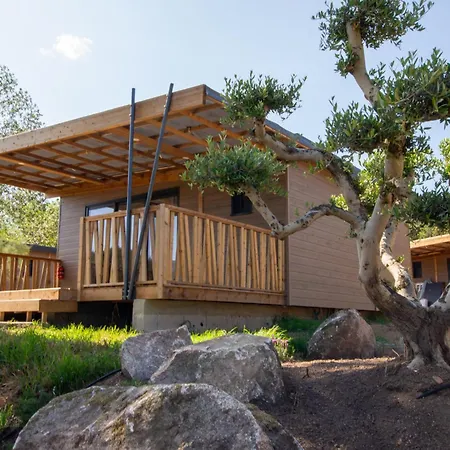 Campsite U Pinarellu *