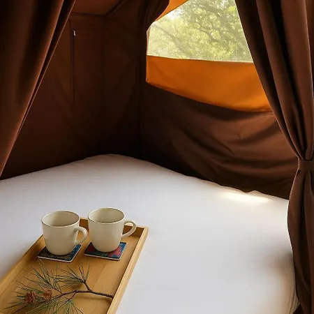 U Pinarellu Campsite Zonza