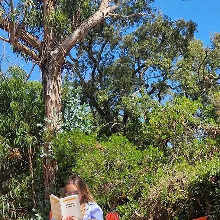 Camping U Pinarellu Zonza
