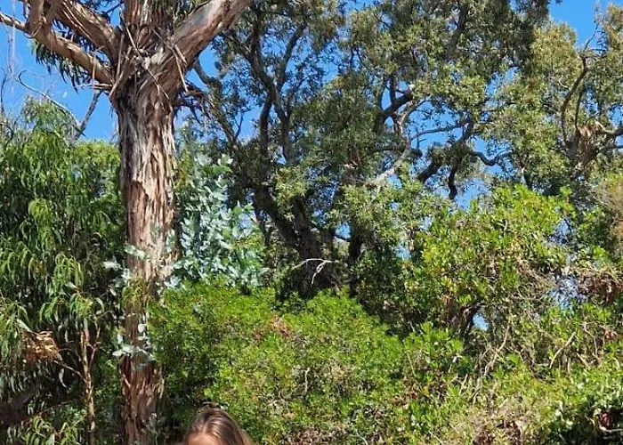 Camping U Pinarellu Zonza