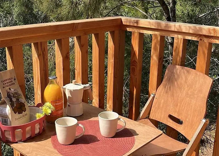 U Pinarellu Camping Zonza